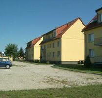 2-Raum Wohnung in Groß Kreutz, Erstbezug nach einer Renovierung, Erdgeschoss - Groß Kreutz (Havel)