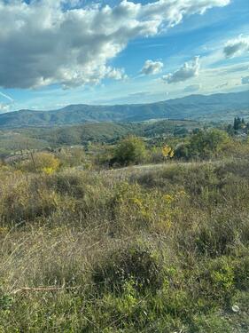 Foto - Einfamilienhaus in Kerpen