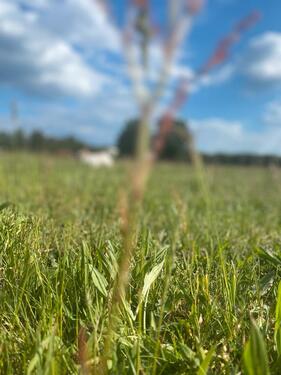 Foto - 3 -Raumwohnung 100qm - 600,00&nbsp;EUR Kaltmiete, ca.&nbsp; 100,00&nbsp;m&sup2;