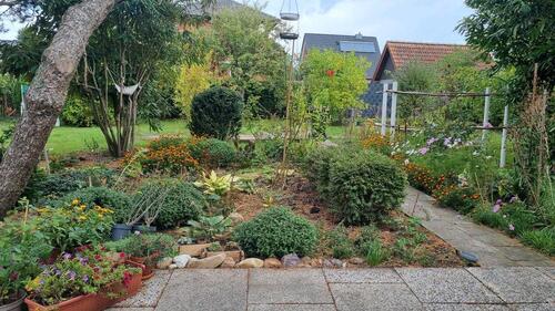 Foto - Etagenwohnung in Ahlen zur Miete