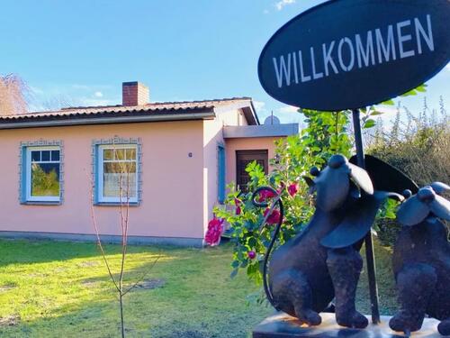 Foto - andere in Dresden