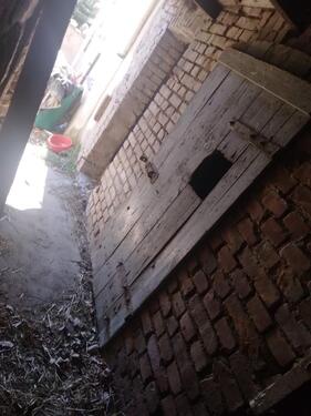 Foto - Bauernhaus, Landhaus in Niederzissen zum Kaufen