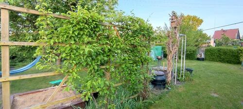 Foto - Gartenparzelle in liebevolle Hände abzugeben