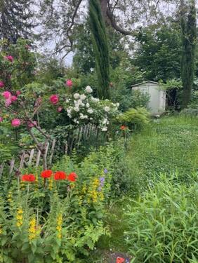 Foto - 5 Zimmer Reihenhaus zum Kaufen in Köln