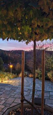 Foto - andere in Reichelsheim (Odenwald)