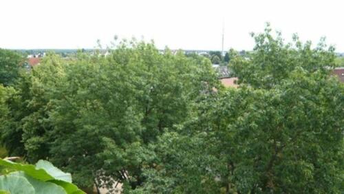 Foto - Gepflegte 3(+1)-Zimmer-Maisonette mit Loggia+ Garage, Rodgau