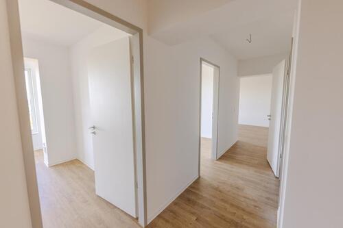 Foto - Etagenwohnung in Cottbus zur Miete