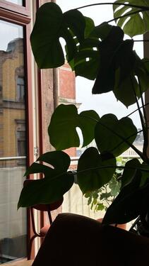 Foto - Helle 2,5 Zimmer mit Einbauküche, Balkon und Fußbodenheizung