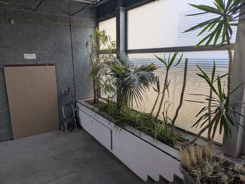 Foto - Erdgeschoßwohnung in Velbert zur Miete
