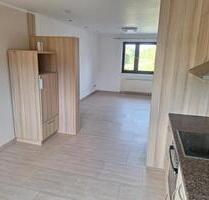 renovierte Wohnung (85 qm) in Harspelt zu vermieten - Winterspelt