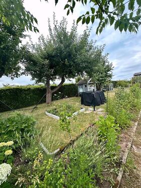Foto - Grundst&uuml;ck in Chemnitz zur Miete