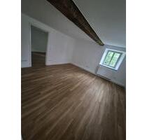 2 Zimmer EG Wohnung 64qm - Haustiere erlaubt - Dinkelsbühl