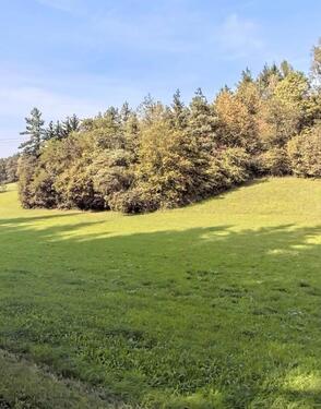 Foto - Idyllisches Grundstück zu vermieten – nahe Regenstauf