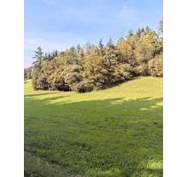 Idyllisches Grundstück zu vermieten – nahe Regenstauf - Regensburg Das Dörnberg