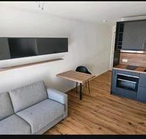 Luxuriöses 1Zimmer Appartment zu vermieten - Augsburg Lechhausen