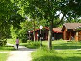 Foto - 3 Zimmer Bungalow in Hayingen