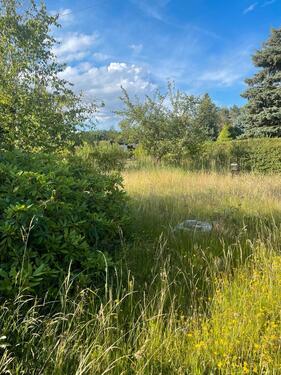 Foto - Grundstück in Kaufbeuren zur Miete