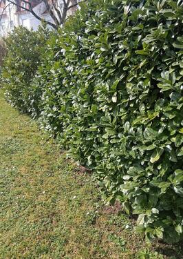 Foto - Erdgeschoßwohnung in Dietzenbach zum Kaufen