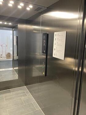 Foto - Etagenwohnung in Dresden zur Miete