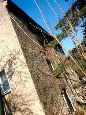 Foto - Einfamilienhaus in Grimma zum Kaufen