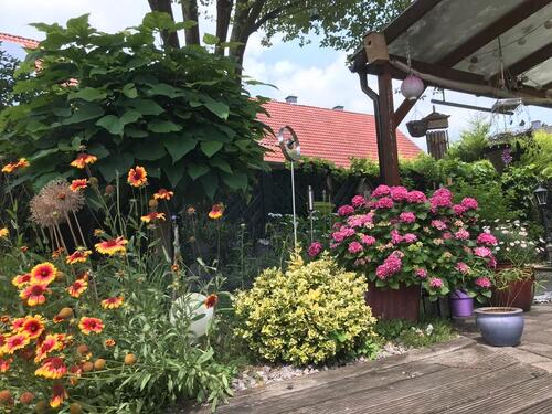 Foto - 5 Zimmer Doppelhaushälfte in Wachtendonk