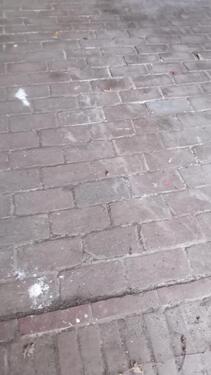 Foto - andere in Goldenstedt zur Miete