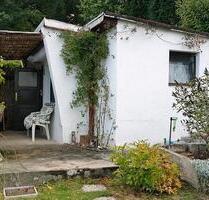 Kleingarten zur Pacht mit Parkplatz vorm Garten - Freital