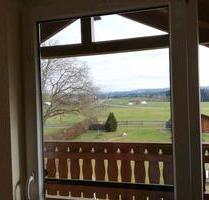 Helle 2,5 Zimmer Dachgeschoss Wohnung - Hergatz