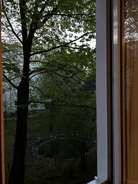 Foto - Internationale Wg - 830,00&nbsp;EUR Kaltmiete, ca.&nbsp; 14,00&nbsp;m&sup2;