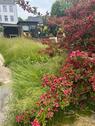 Foto - Garten zu verpachten - 110,00 EUR Kaltmiete, ca.  0,00 m²