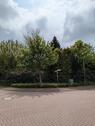 Foto - 5 Zimmer Einfamilienhaus in Edewecht