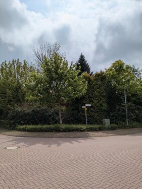 Foto - 5 Zimmer Einfamilienhaus in Edewecht