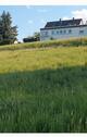 Foto - Bestlage: Ruhiges, idyllisch gelegenes Haus
