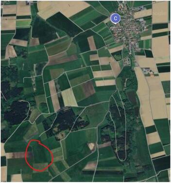 Foto - Wiese 2,4250 ha, Flur Gemeinde Lamerdingen Kleinkitzighofen