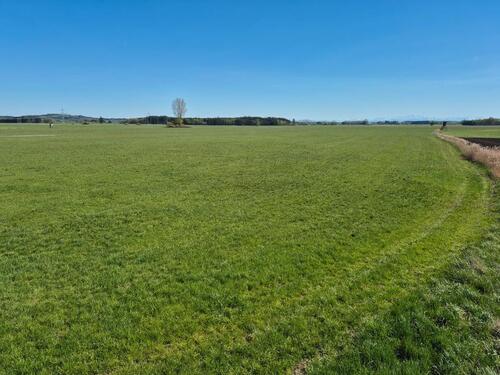 Foto - Grundst&uuml;ck in Lamerdingen