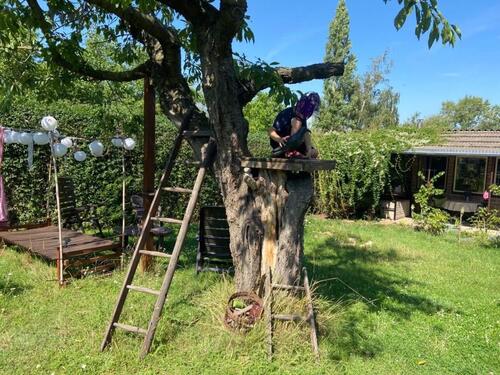 Foto - Wunderschöner Garten in Löbejün