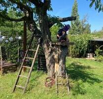 Wunderschöner Garten in Löbejün - Wettin-Löbejün