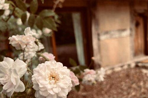 Foto - Besonderes Gästehaus für Kurzaufenthalte und Workation 