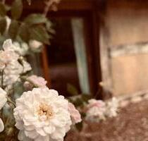 Besonderes Gästehaus für Kurzaufenthalte und Workation | Sauna - Barnstorf