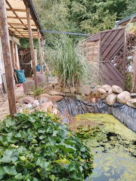 Foto - Grundst&uuml;ck in Leipzig zur Miete