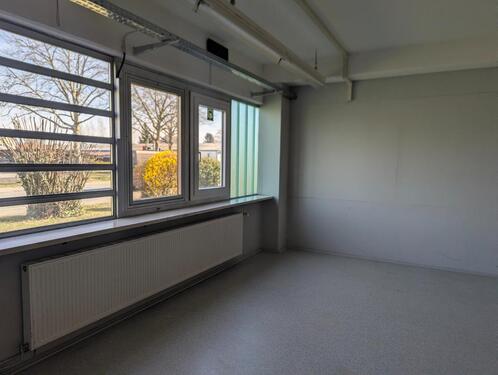 Foto - andere in Radolfzell am Bodensee