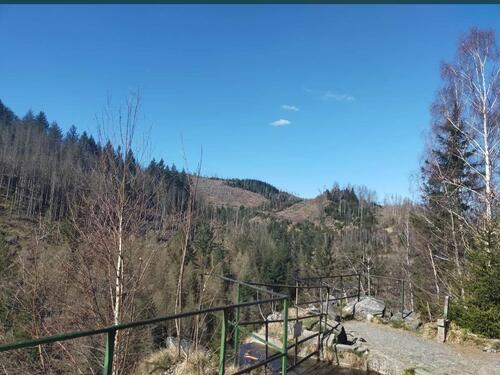 Foto - andere in Rhauderfehn