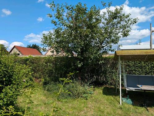 Foto - Grundst&uuml;ck in Dresden zur Miete