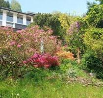 Wochenendgrundstück im Erzgebirge in traumhafter Lage - Großrückerswalde