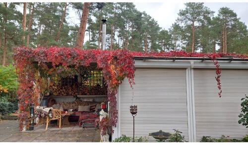 Foto - 3 Zimmer Bungalow zum Kaufen in Schönebeck (Elbe)