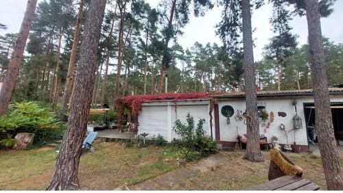 Foto - 3 Zimmer Bungalow in Schönebeck (Elbe)