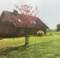 Barntrup - Alverdissen, gepflegtes,großzügiges 2-Familienlandhaus