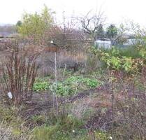 Kleingarten abzugeben - 5,00 EUR Kaltmiete, ca.  0,00 m² in Weimar (PLZ: 99425) Ehringsdorf