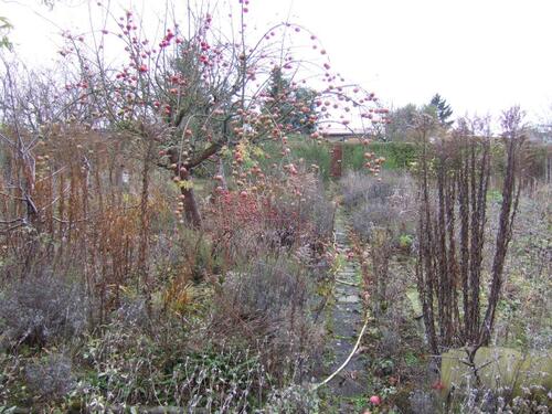 Foto - Grundstück zur Miete in Weimar