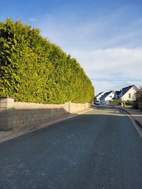 Foto - Doppelhaushälfte in Blomberg zum Kaufen